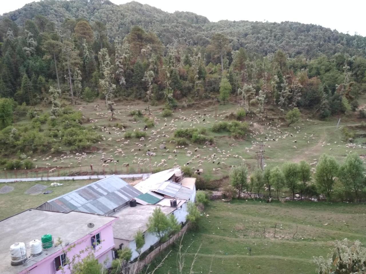 Bholenath Homestay Dalhousie Exterior photo